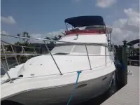 Cruisers 385 