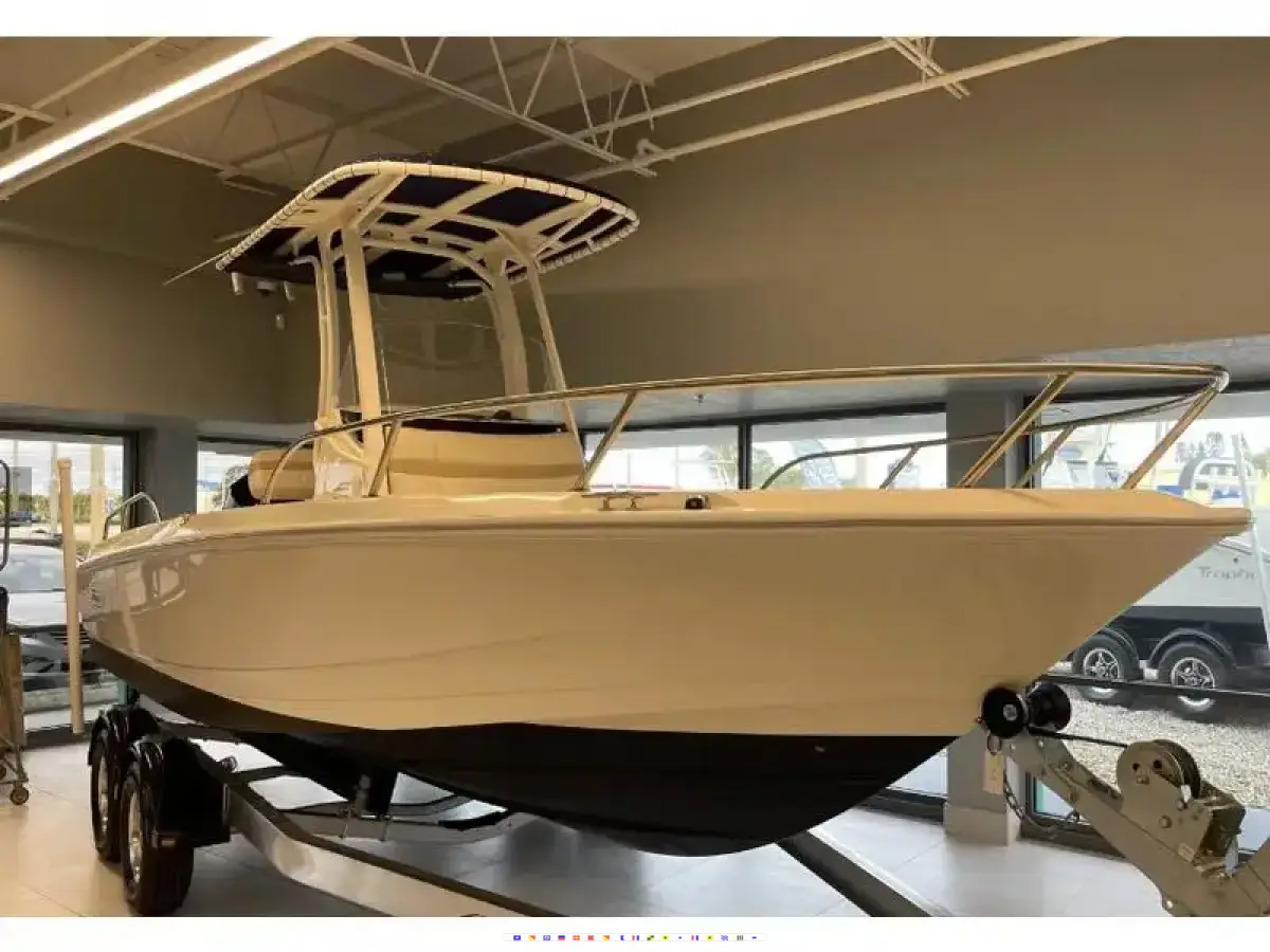 Boston Whaler Dauntless 