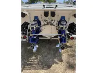 Pantera 28