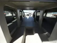 Hallett Party Cruiser Gull Wing 300