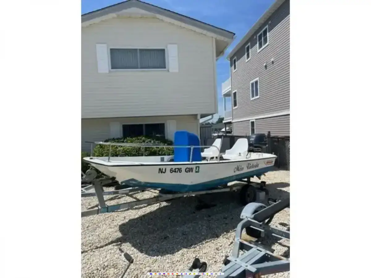 Boston Whaler Sport 
