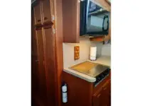Carver 4207 