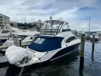 Sea Ray 52 SEDAN BRIDGE 