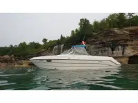 Chaparral 2550 SX 