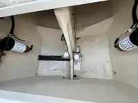 Intrepid 