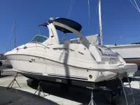 Sea Ray Sundancer 340 Sundancer
