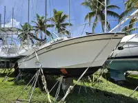Grady White Salifish 25 