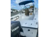 Grady White Salifish 25 