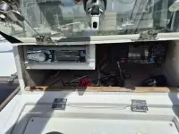Grady White Salifish 25 