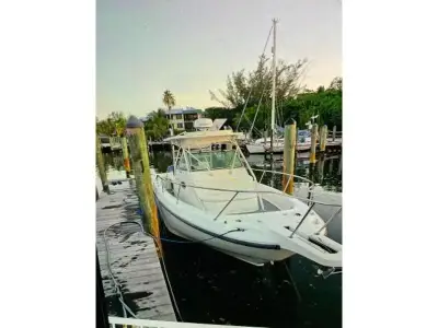 Boston Whaler Outrage 290 Outrage 