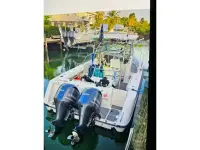 Boston Whaler Outrage 290 Outrage