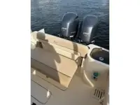 Scout 255 LXF