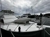 Post Yachts 43  Sportfisherman 