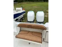 Everglades 270cc