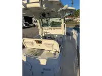Everglades 270cc