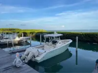 Cobia 296cc 