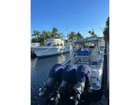 Hydra-Sports 33 VX