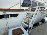 Santa Barbara 50