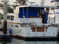 Santa Barbara 50
