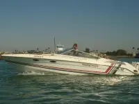 Wellcraft Nova III 
