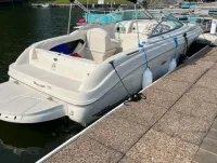 Sea Ray Weekender 