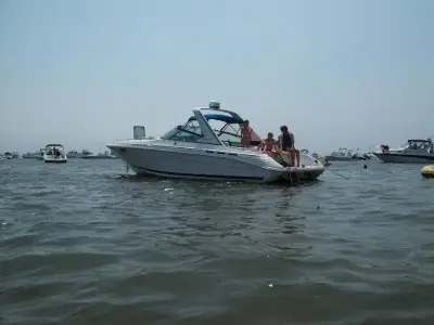 Sea Ray SUNSPORT