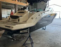 Chaparral 264 Sunesta Surf
