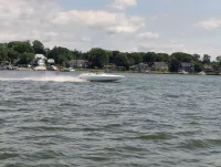 Pantera 220 