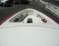 Cobra