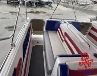 Advantage Party cat 28′