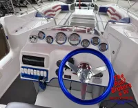 Advantage Party cat 28′