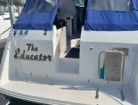 Chris Craft 360 Express Cruiser 