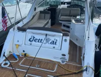 Sea Ray Sundancer 
