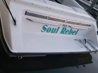 Chaparral 2550 sx 