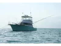 Sport Fisher 54 