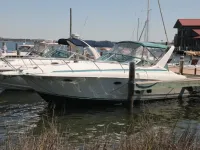 Silverton 310 Express 