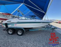 Celebrity 180 status open bow 