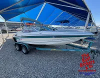 Celebrity 180 status open bow 