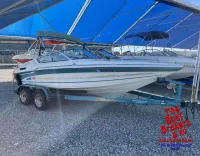 Celebrity 180 status open bow 
