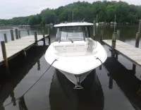 Boston Whaler Boston Whaler 350 Realm 