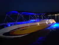 LaveyCraft Party Prowler 