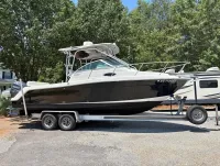 Robalo R260 