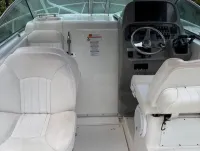 Robalo R260 