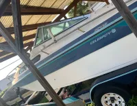 Celebrity 224se 