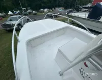 Twin Vee Catamaran