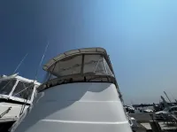 Mainship 390
