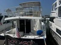 Mainship 390