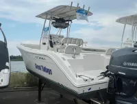Cobia 217