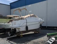 Maxum 2400 se 