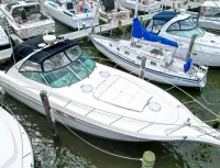 Maxum 4100 